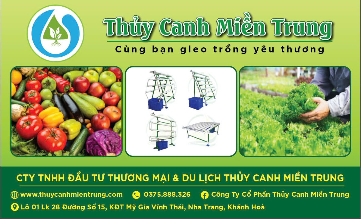 thủy canh miền trung